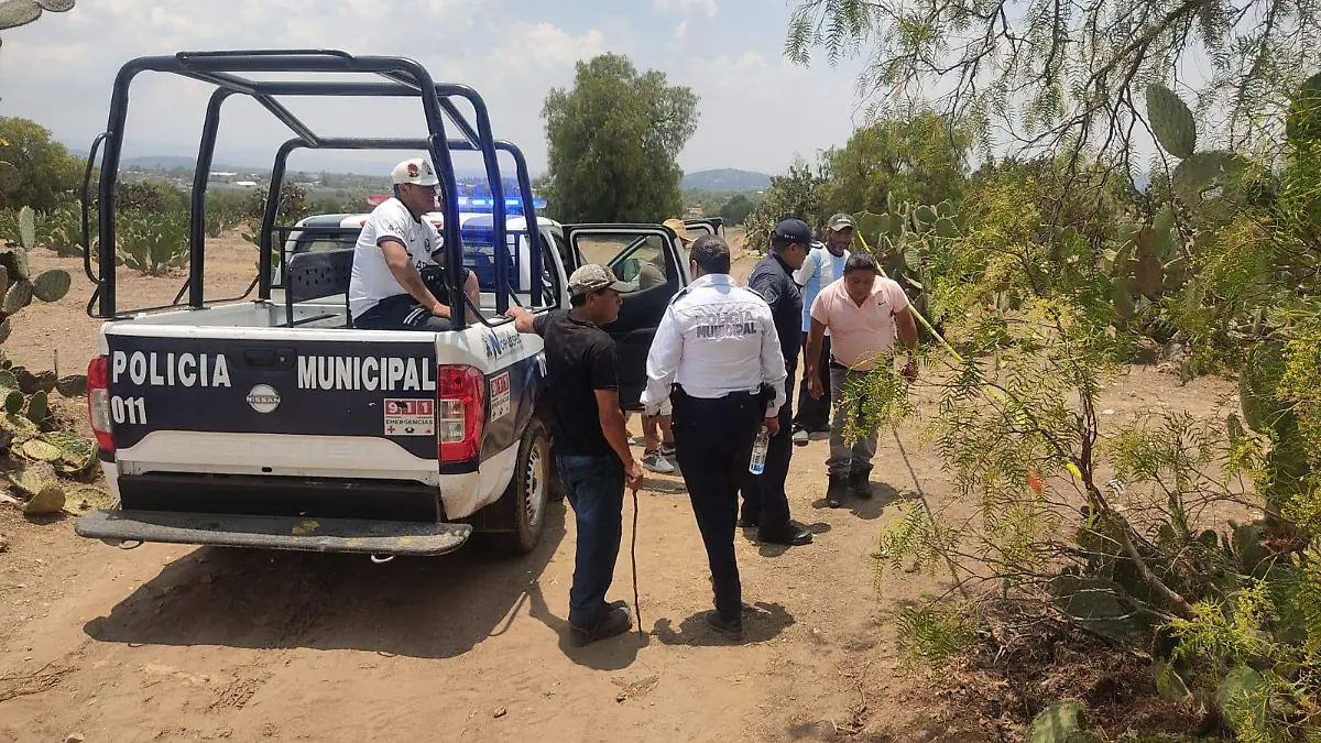 cuerpos nopaltepec CORTESIA